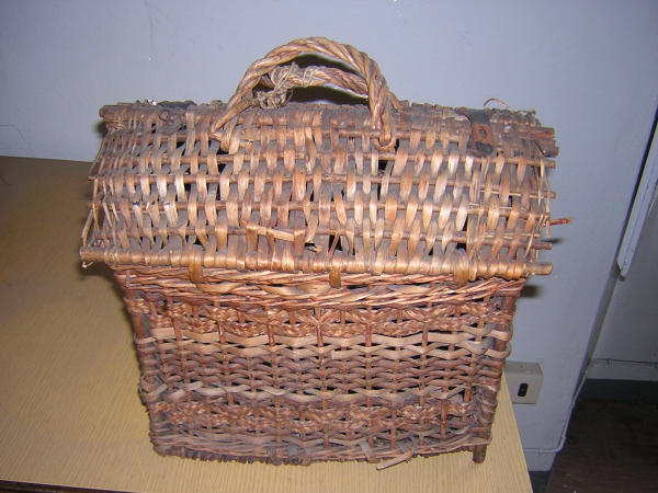 Sporta