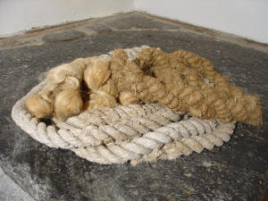 Corde