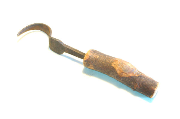 Sgorbia