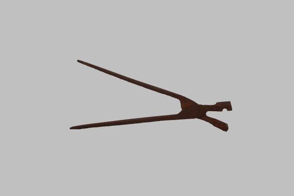 Pinza