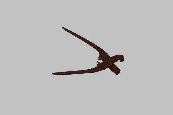 Pinza