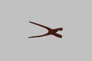 Pinza (1840)