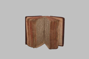 Libro (1881)