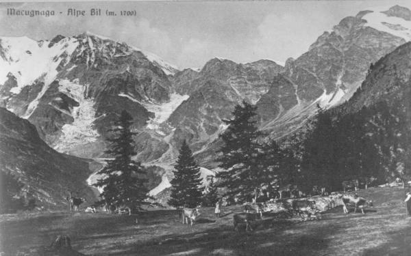Alpe Bill