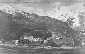 Alpe Bill (1940)